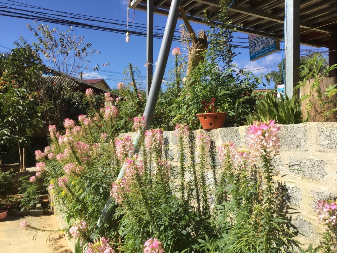 Do Gu Homestay Mu Cang Chai Zewnętrze zdjęcie