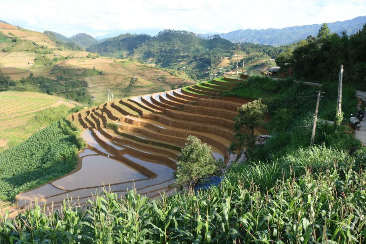 Do Gu Homestay Mu Cang Chai Zewnętrze zdjęcie